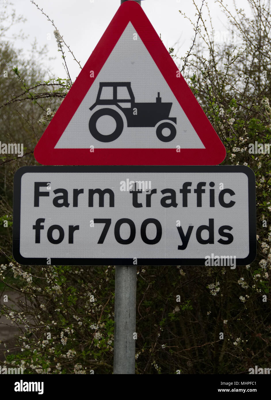 Il bianco e il rosso triangolare di sicurezza stradale segno di avvertimento del traffico fattoria con immagine di nero il trattore per 700 metri Foto Stock