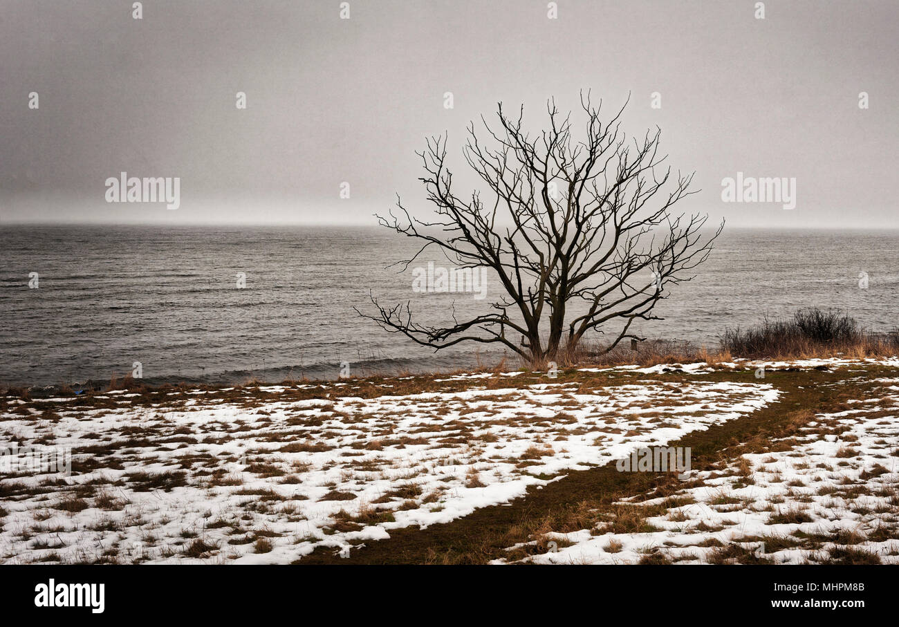 Cold spring day nel sud della Svezia Foto Stock
