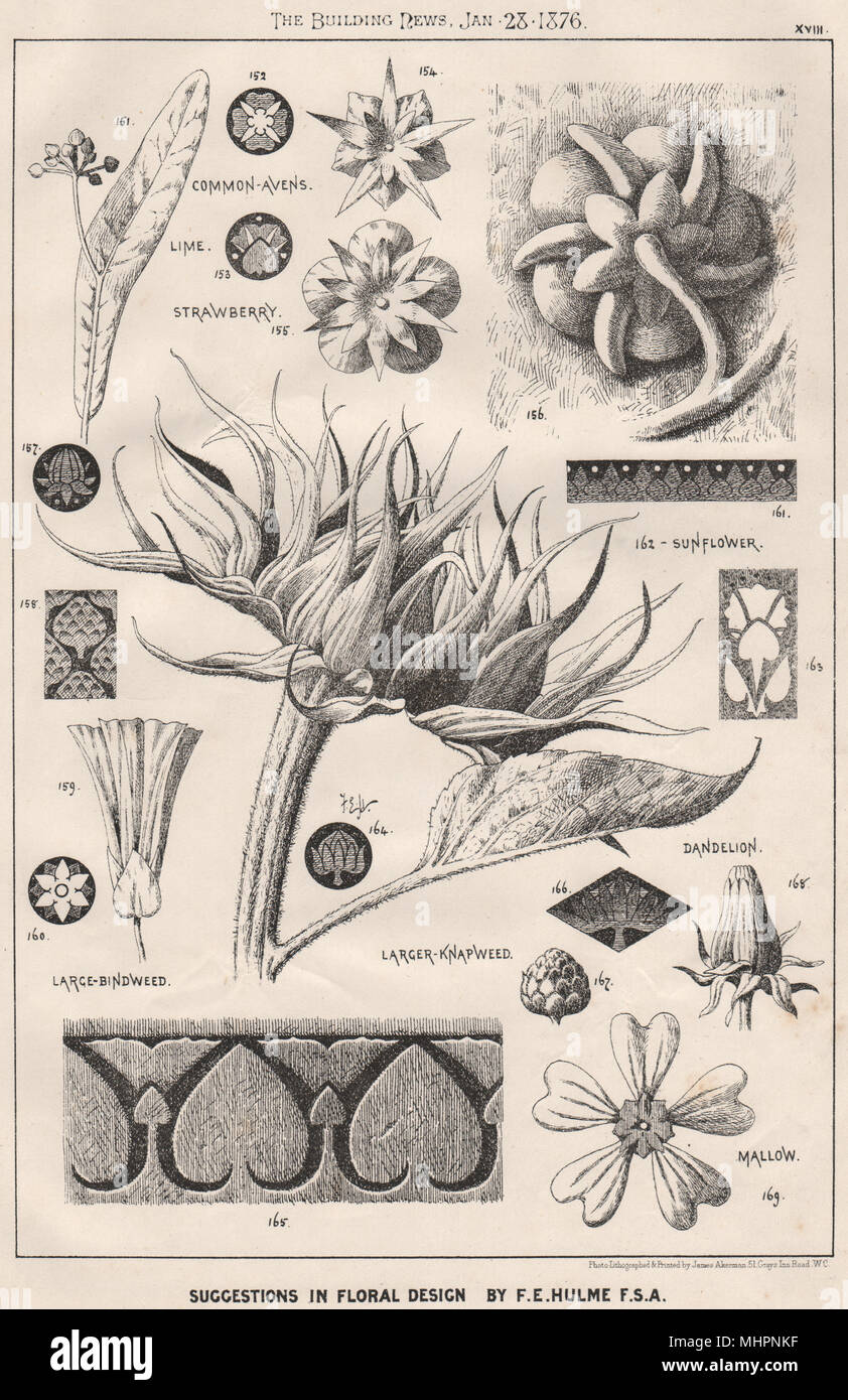 Suggerimenti di sentori floreali; Design by F.E. Hulme F.S.A.. (Decorativi 16) 1876 stampare Foto Stock