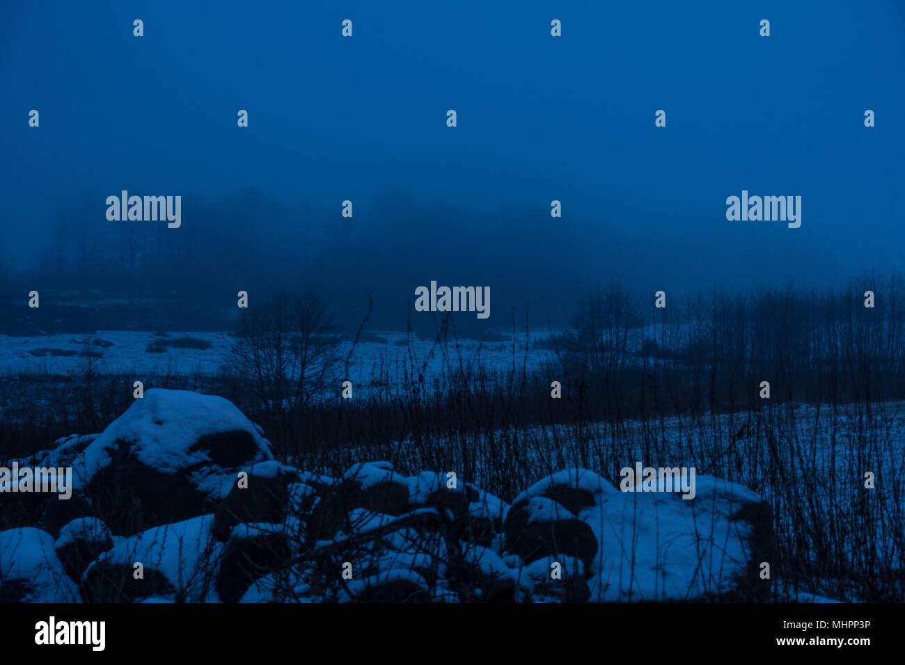 Alberi e campi in una nebbia copriva la scena Foto Stock