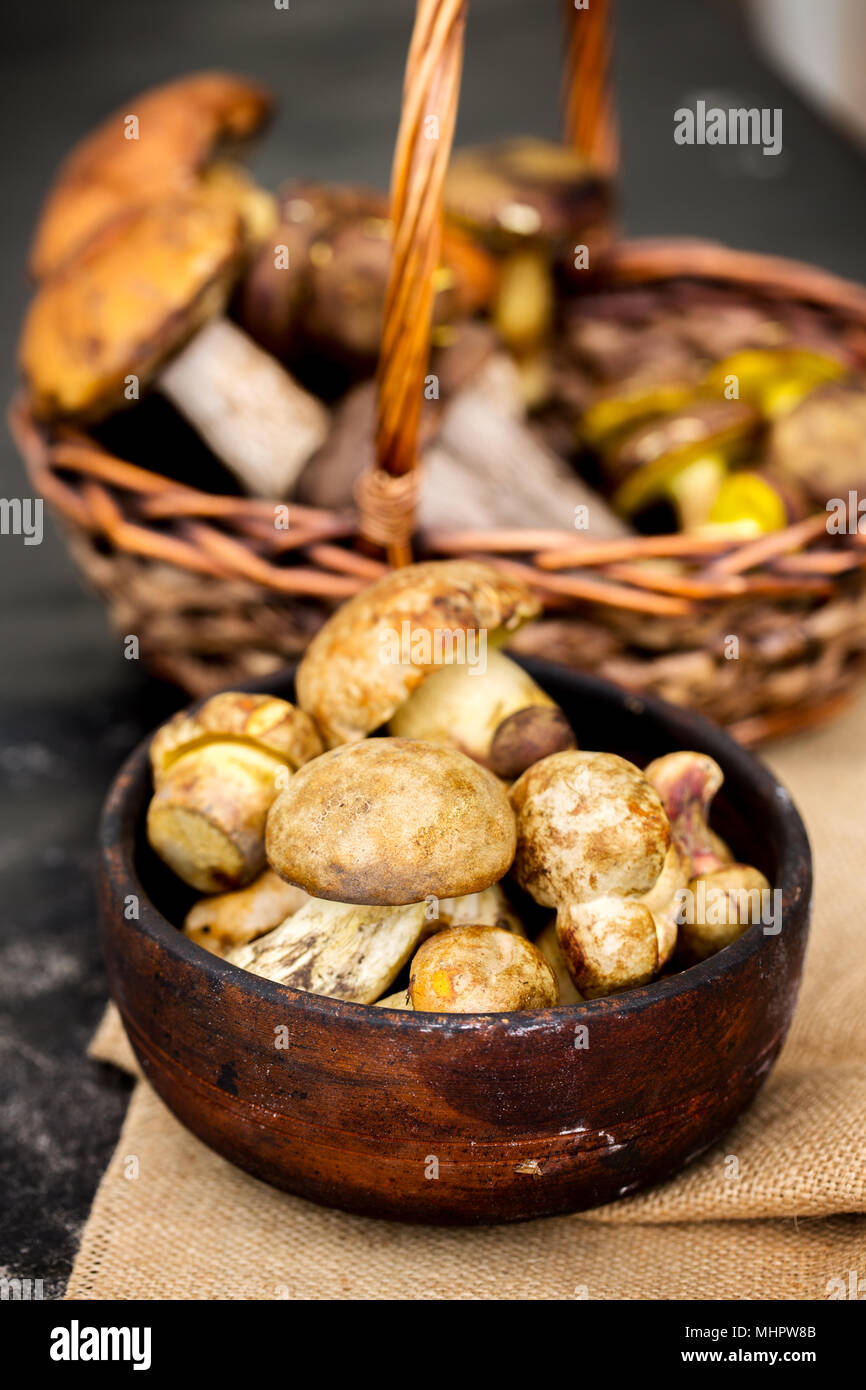 I funghi freschi in una ciotola Foto Stock