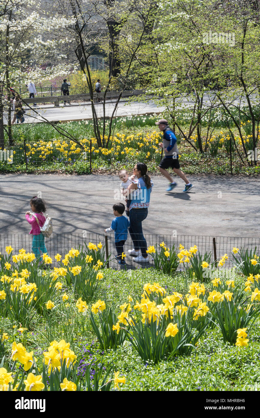 Primavera su Central Park briglia del percorso nella città di New York, Stati Uniti d'America Foto Stock
