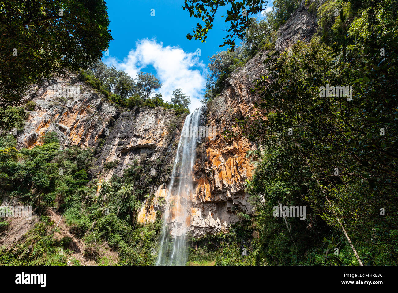 Bella cascata nel Queensland, Australia Foto Stock