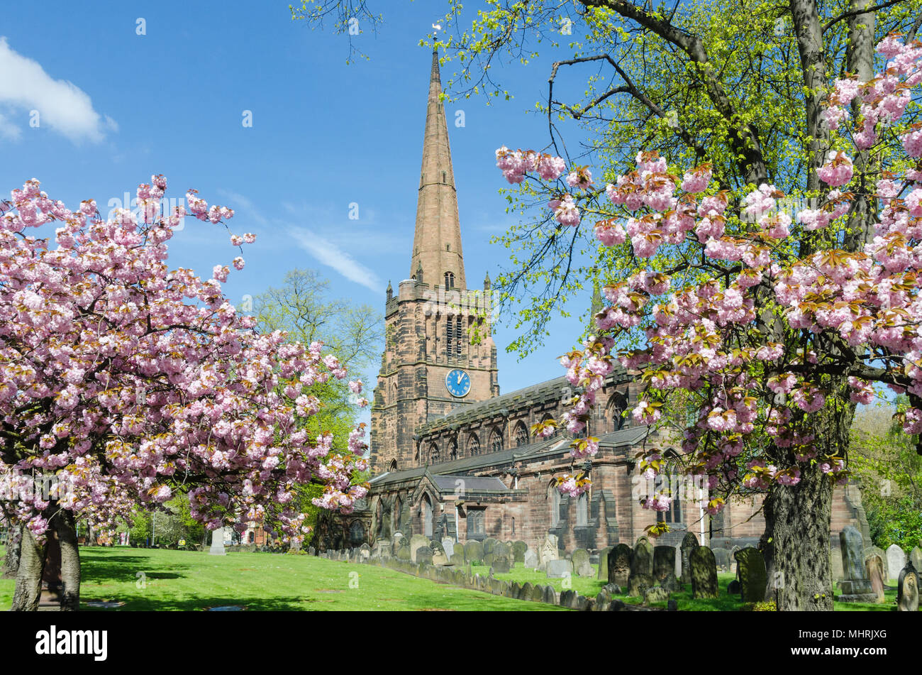 Aston,Birmingham,Regno Unito il 3 maggio 2018. Bright sole primaverile su Aston Chiesa Parrocchiale con alberi in fiore in piena fioritura.Copyright:Nick Maslen/Alamy Live News Foto Stock