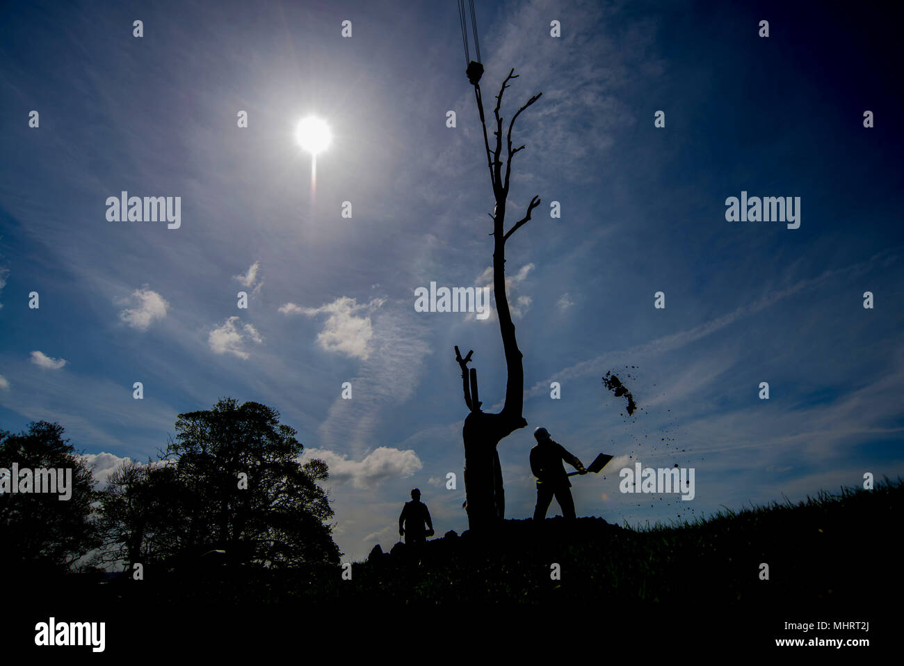 Yorkshire Sculpture Park, Regno Unito. Il 3 maggio 2018. I tecnici in Yorkshire Sculpture Park installare 'vene di pietra tra i rami' dell'artista italiano Giuseppe Penone. La scultura è stata installata giovedì 3 maggio presso il West Yorkshire basato park. La grande mostra ' un albero in legno " si apre ufficialmente il 26 maggio e vanta opere tratte da gli ultimi cinque decenni di Penone della carriera. Immagine: Scott Bairstow/Alamy Live News Foto Stock