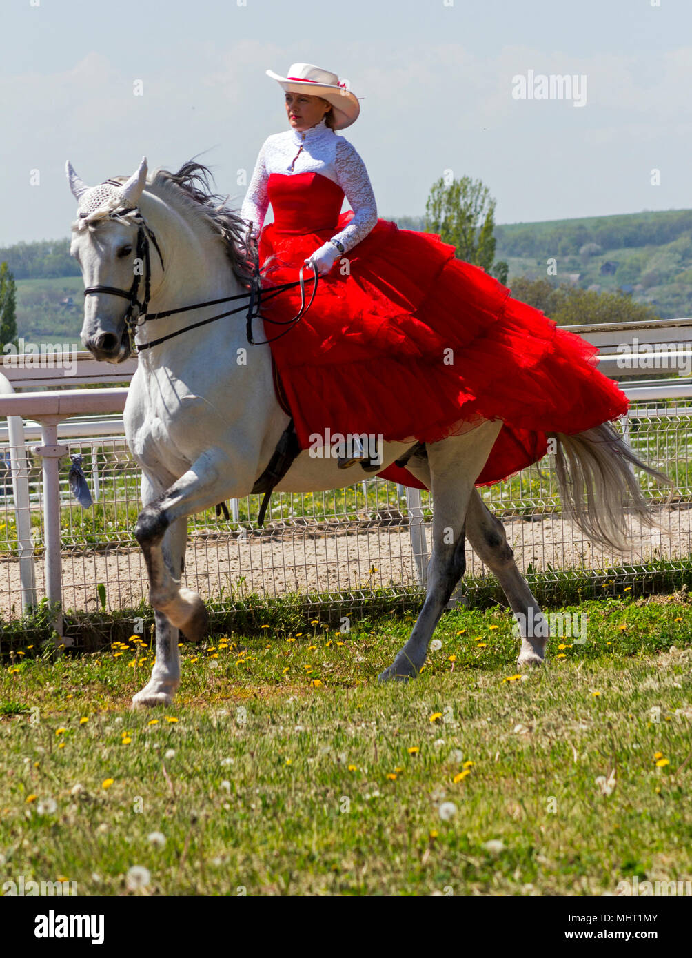 PYATIGORSK,RUSSIA - maggio 02,2018:prestazioni dimostrativo su dressage Larissa Bakakina sullo stallone Flagstaff del Orel trotto razza sul Pyatigo Foto Stock