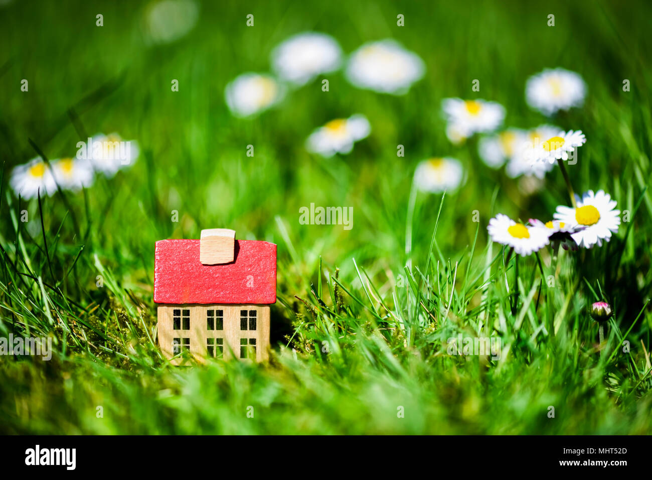 Casa in miniatura in erba Foto Stock