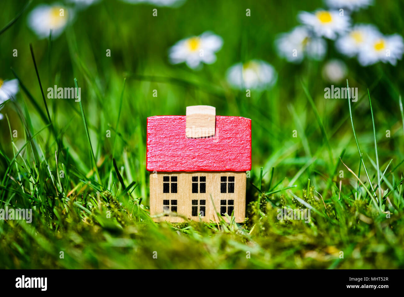 Casa in miniatura in erba Foto Stock