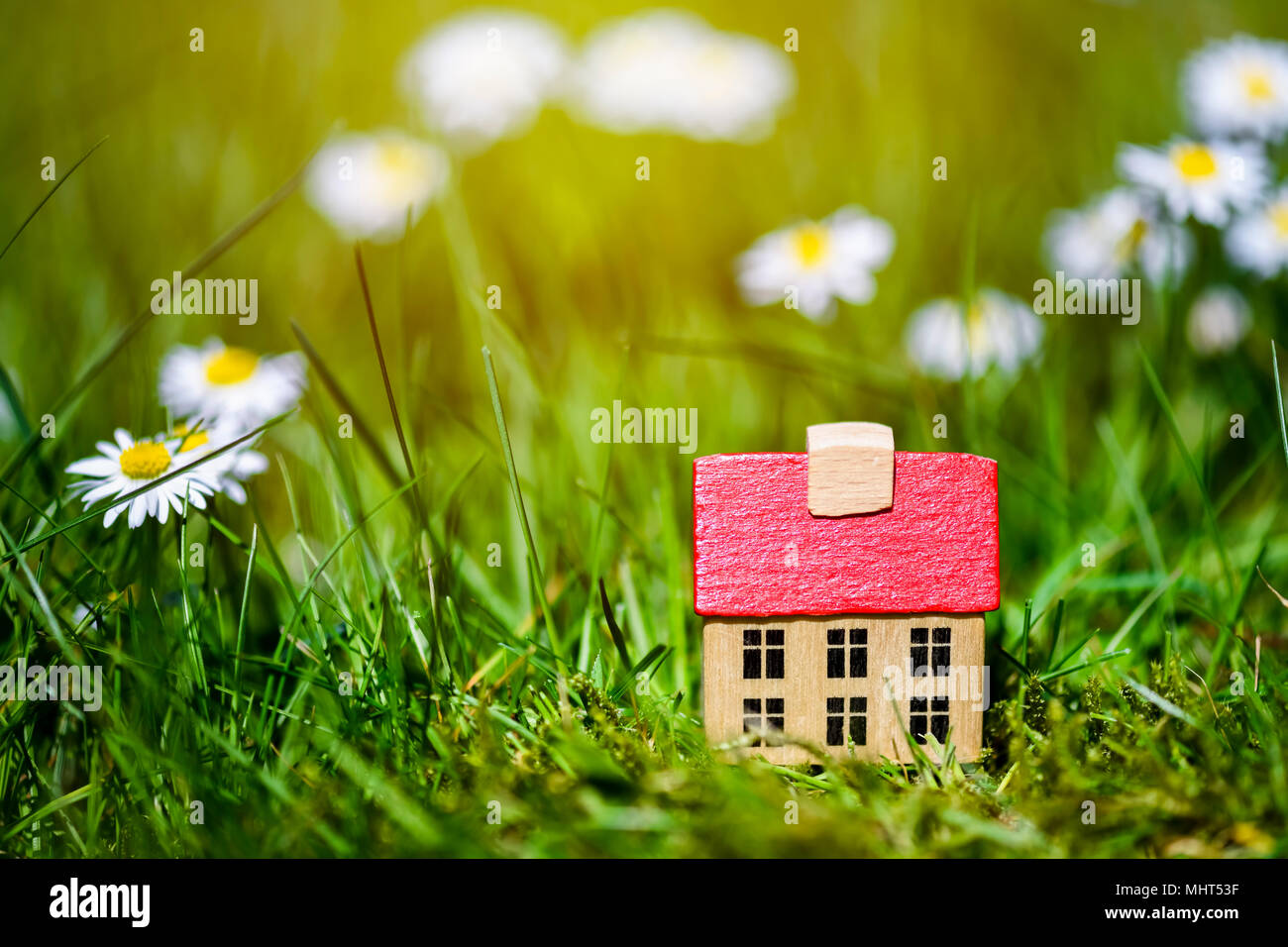 Casa in miniatura in erba Foto Stock