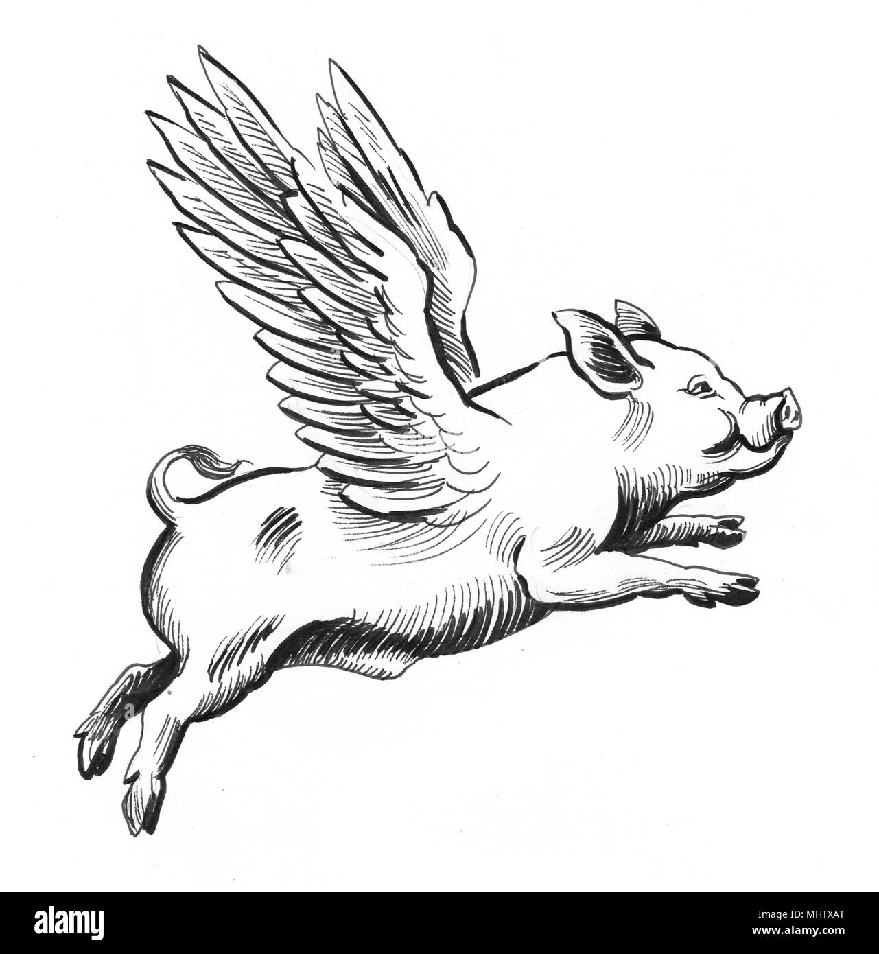 Flying Pig. L'inchiostro bianco e nero illustrazione Foto Stock