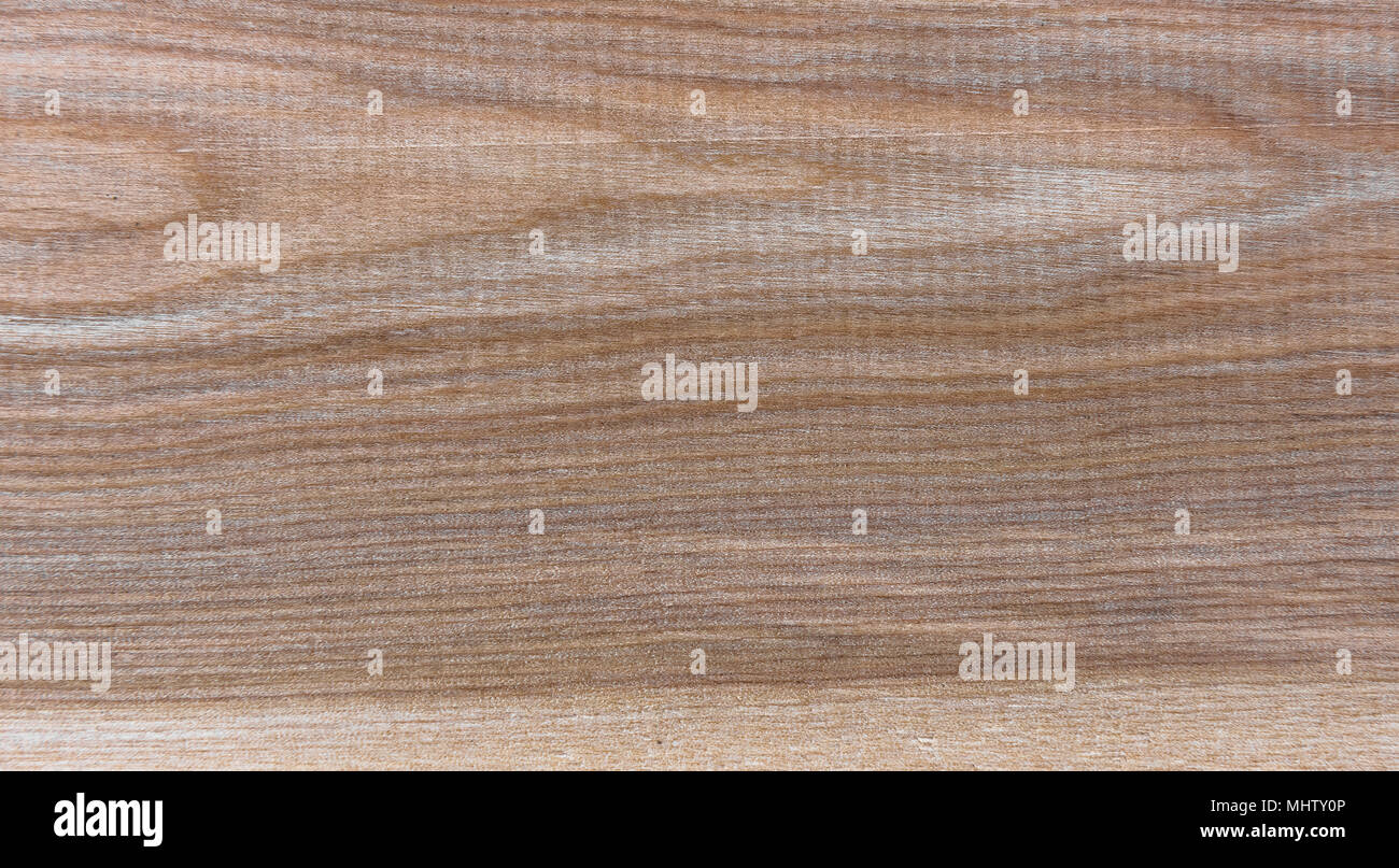 Taiga naturale di legno di betulla grano texture di sfondo di pattern Foto Stock