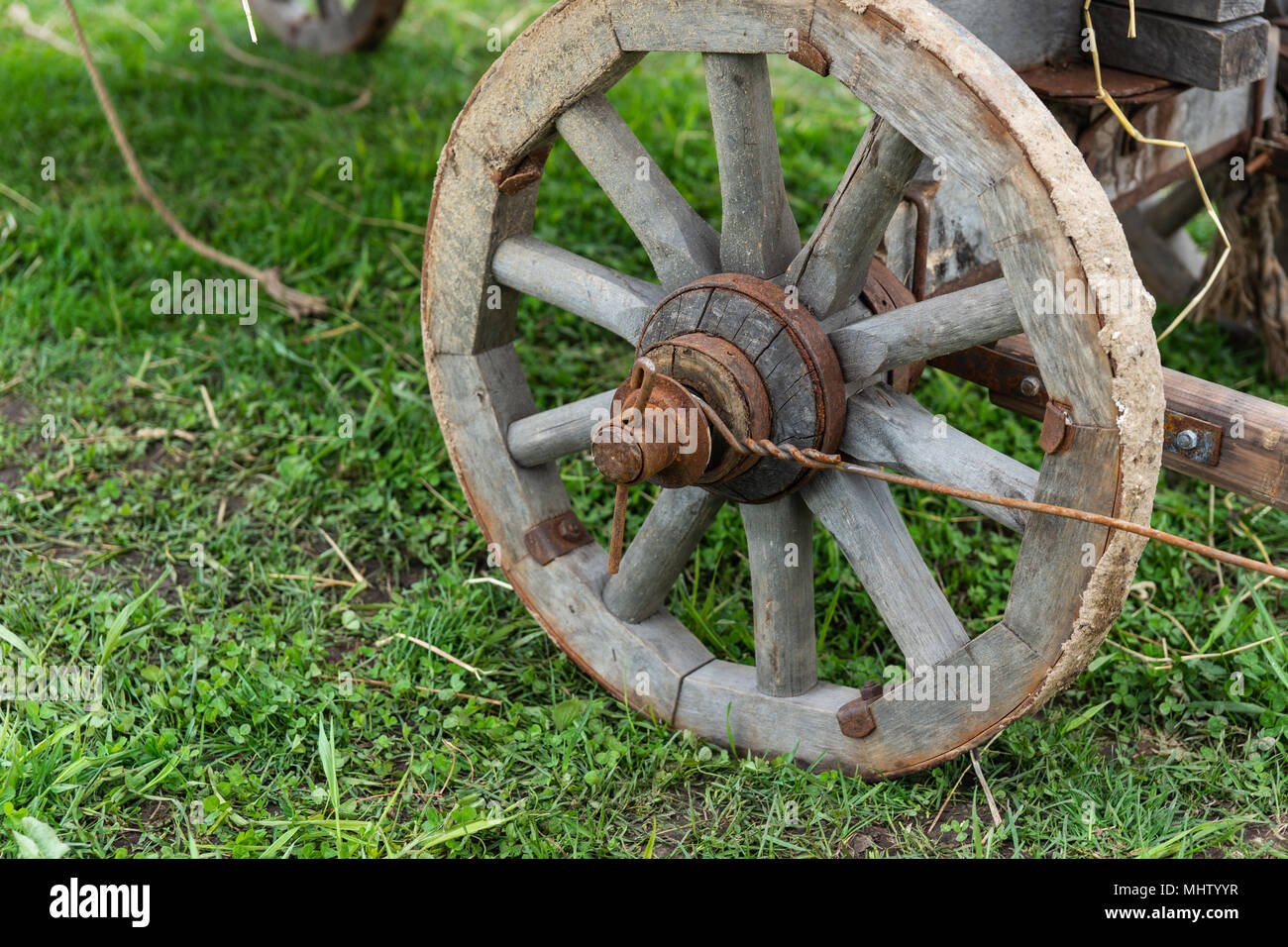 Ruota in legno di un antico carrello su un suolo coperto di erba verde. Metallo arrugginito, legno stagionato Foto Stock