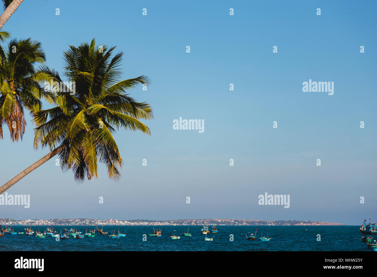 Gli alberi di cocco tratto nel mare, Vietnam, Mui ne Foto Stock