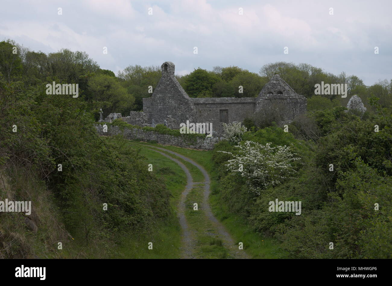 Killone Abbey Foto Stock