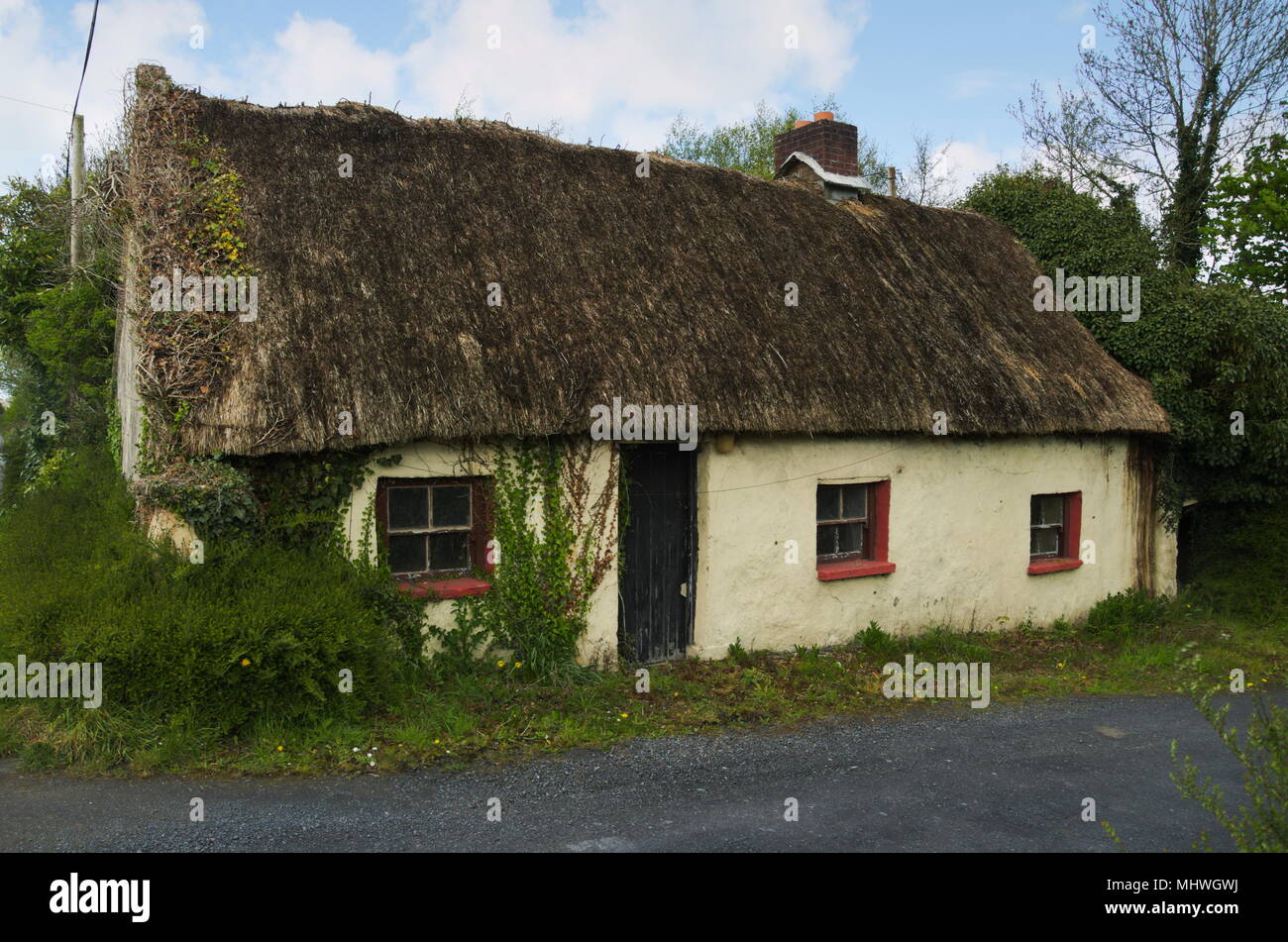 Vecchio Irish cottage con tetto di paglia di rovina. Foto Stock