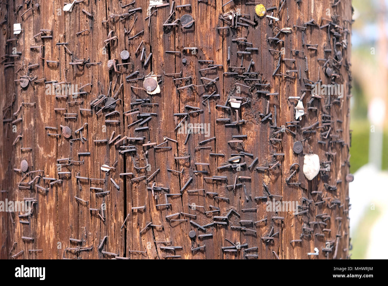 Centinaia di rusty cuciti su un palo in ed intorno a Venice Beach Los Angeles Foto Stock