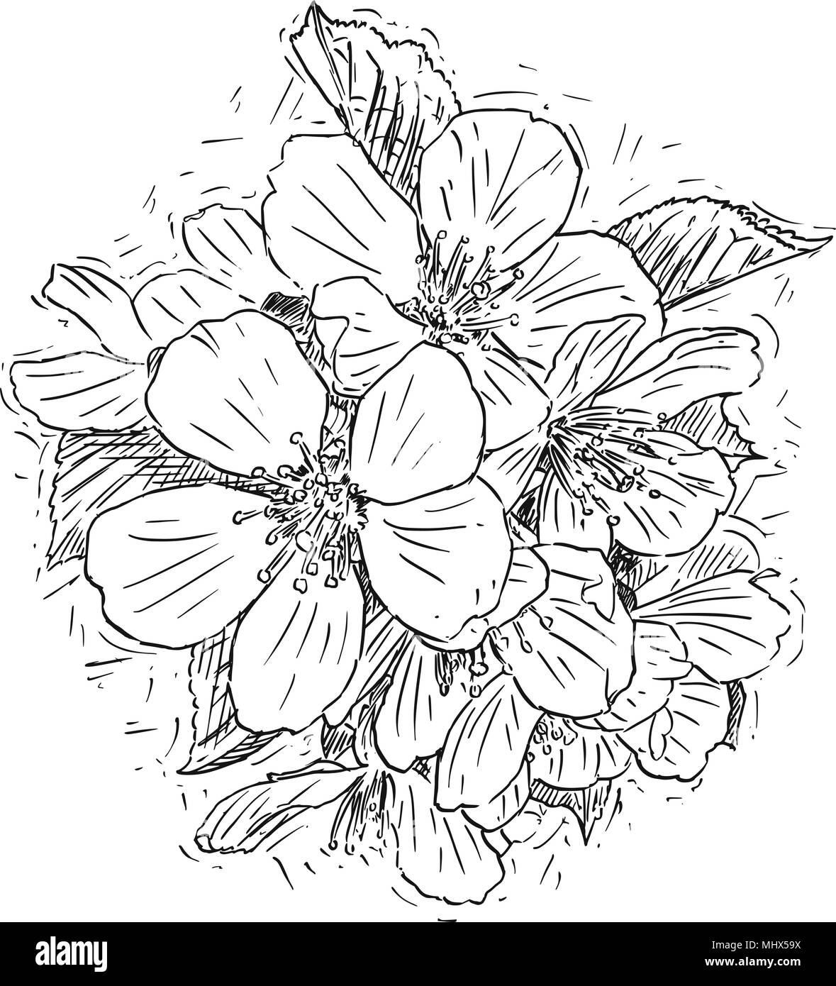 Vettore illustrazione artistica o disegno del mazzetto di fiori fiori di ciliegio Illustrazione Vettoriale