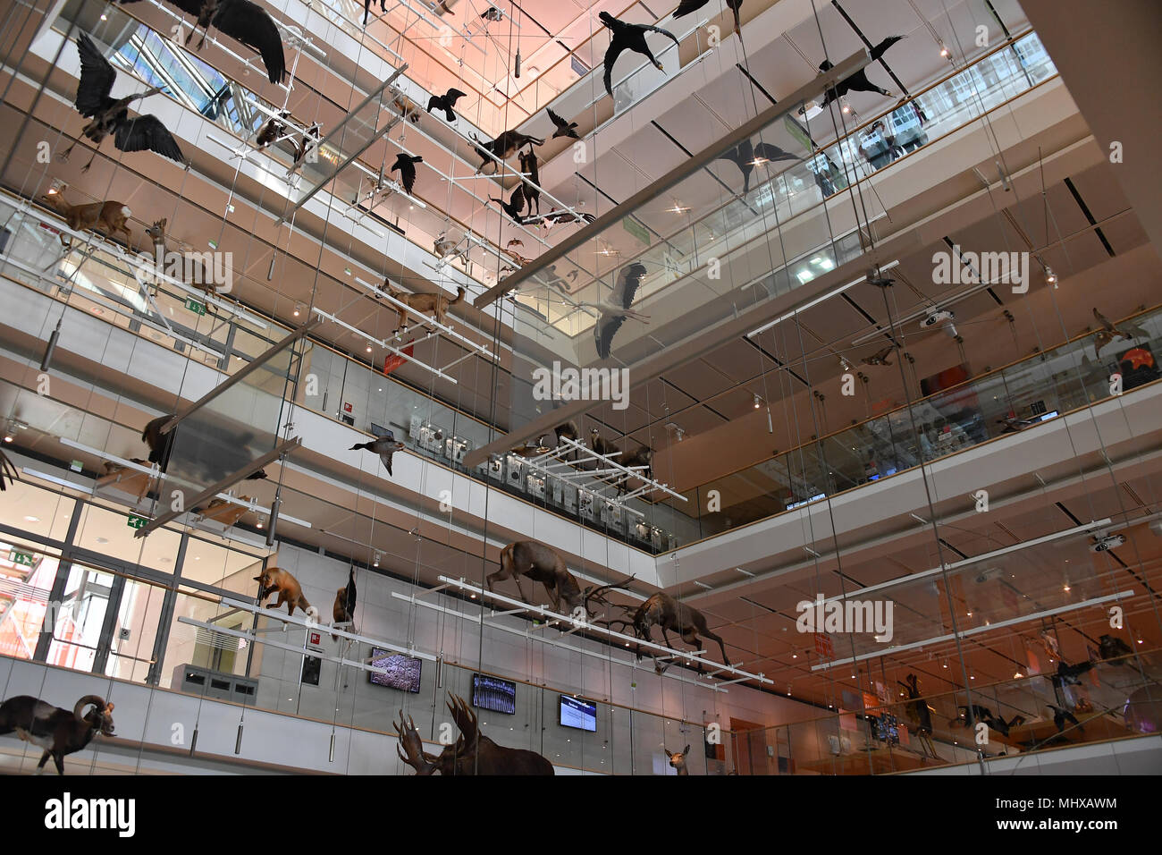 TRENTO, Italia - MARZO 27, 2018 - Muse è il nuovo museo interattivo di Italia, progettato dal noto architetto Renzo Piano e piena di studenti in intera Foto Stock