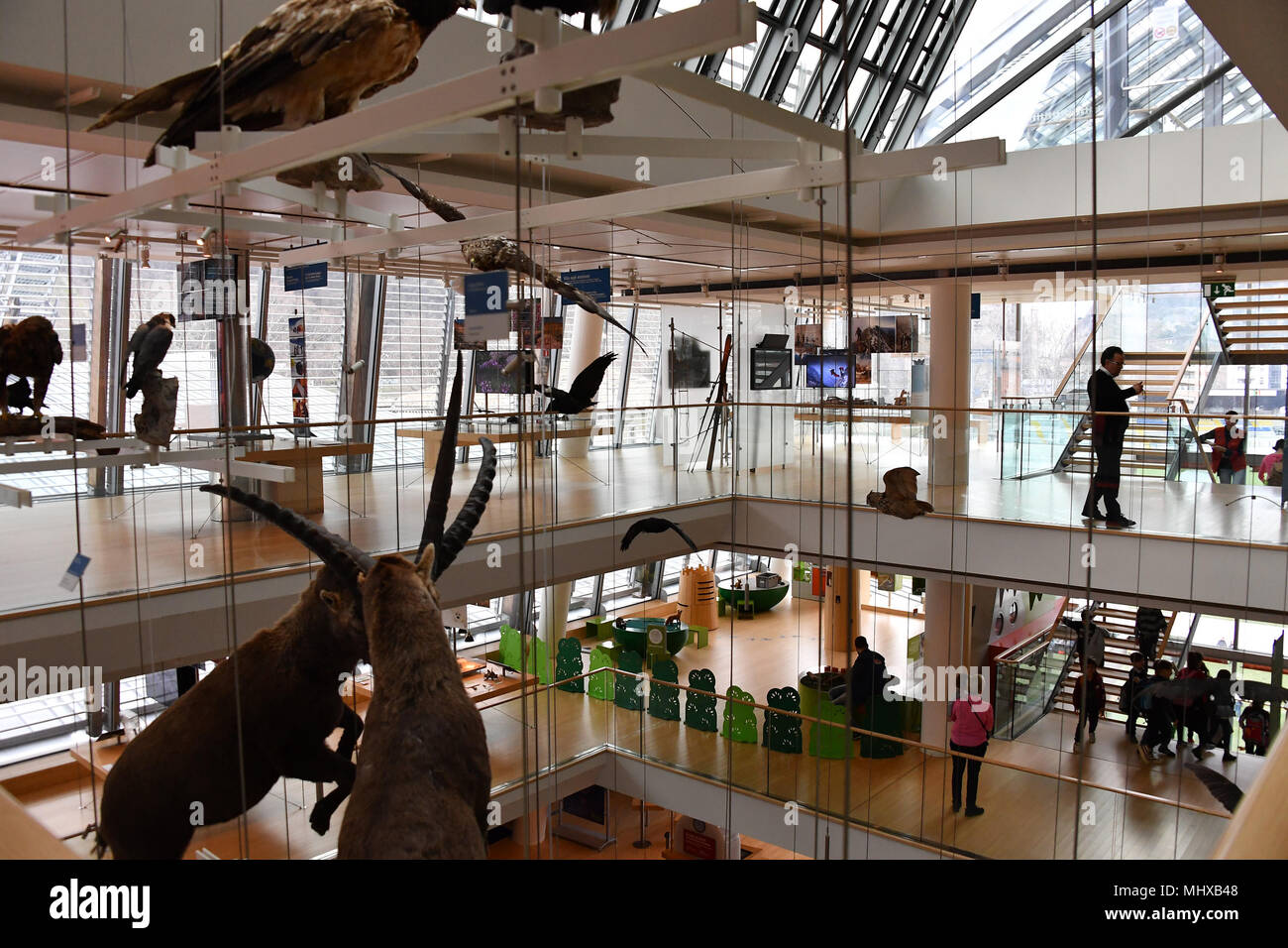 TRENTO, Italia - MARZO 27, 2018 - Muse è il nuovo museo interattivo di Italia, progettato dal noto architetto Renzo Piano e piena di studenti in intera Foto Stock
