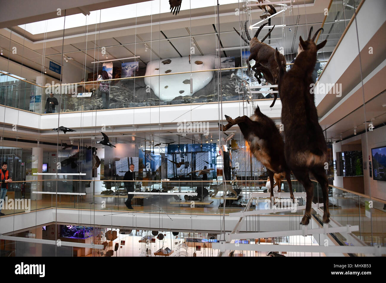 TRENTO, Italia - MARZO 27, 2018 - Muse è il nuovo museo interattivo di Italia, progettato dal noto architetto Renzo Piano e piena di studenti in intera Foto Stock