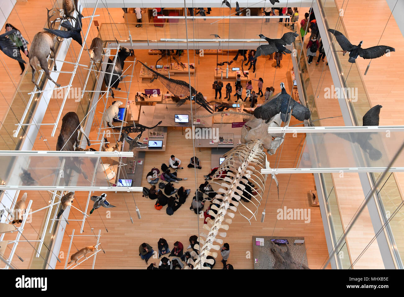 TRENTO, Italia - MARZO 27, 2018 - Muse è il nuovo museo interattivo di Italia, progettato dal noto architetto Renzo Piano e piena di studenti in intera Foto Stock