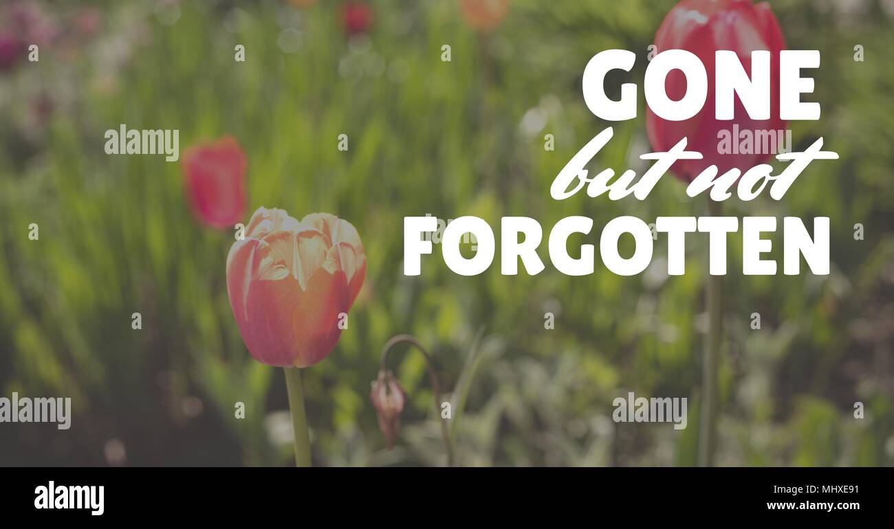 Il memorial day messaggio con sfondo di fiori Foto Stock