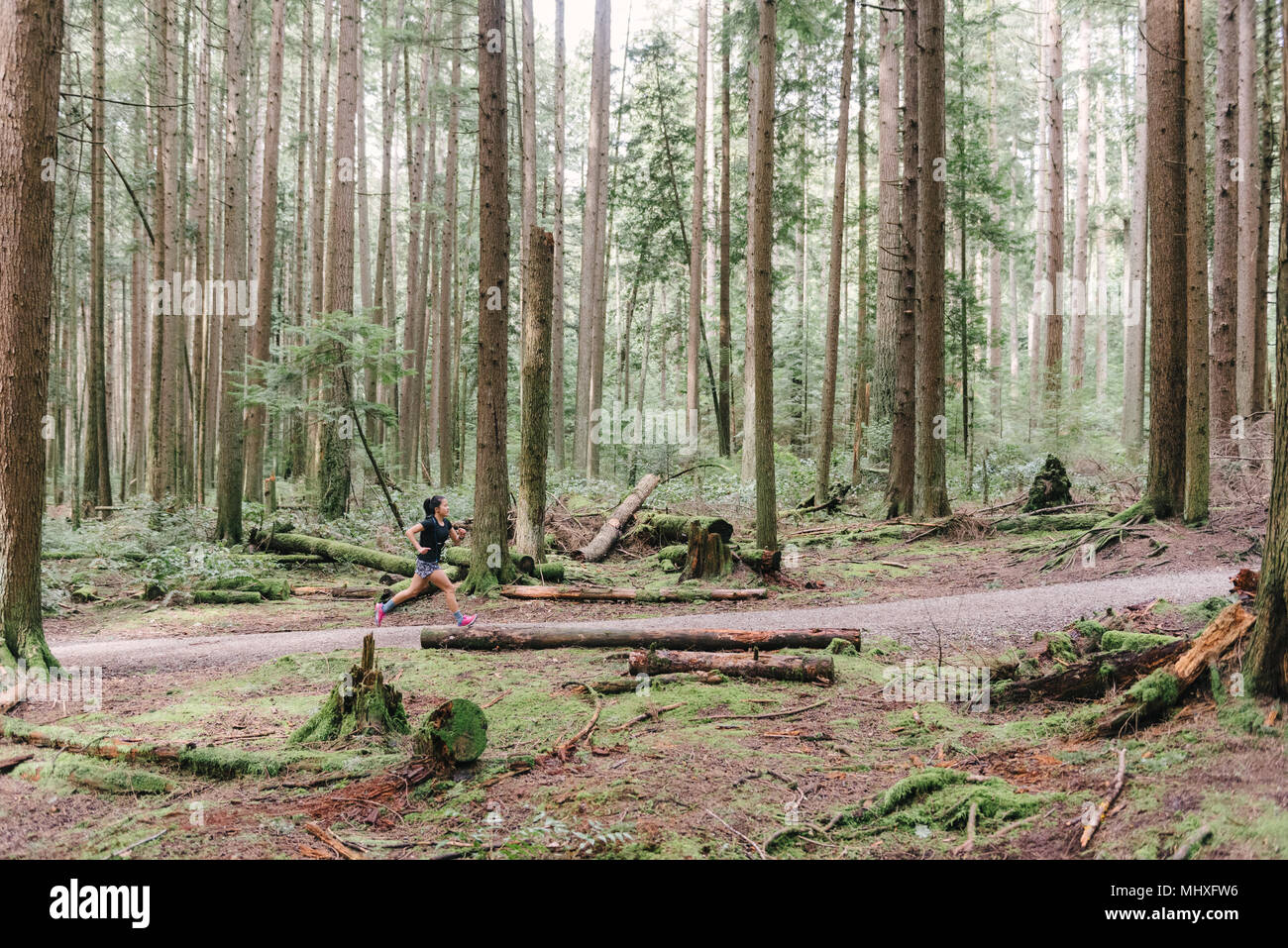 La donna in esecuzione nella foresta, Vancouver, Canada Foto Stock