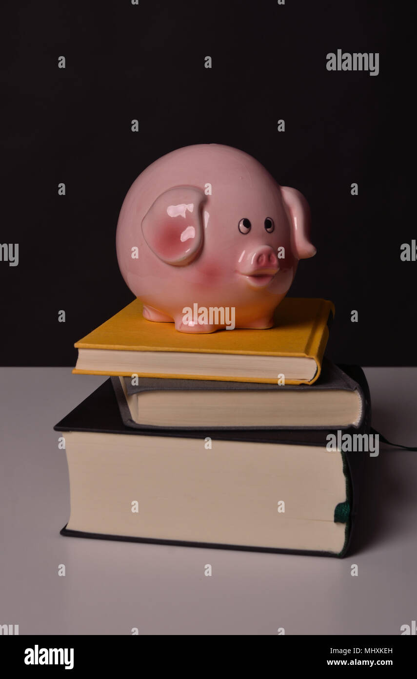 Salvadanaio sulla parte superiore dei libri, costi di istruzione Foto Stock