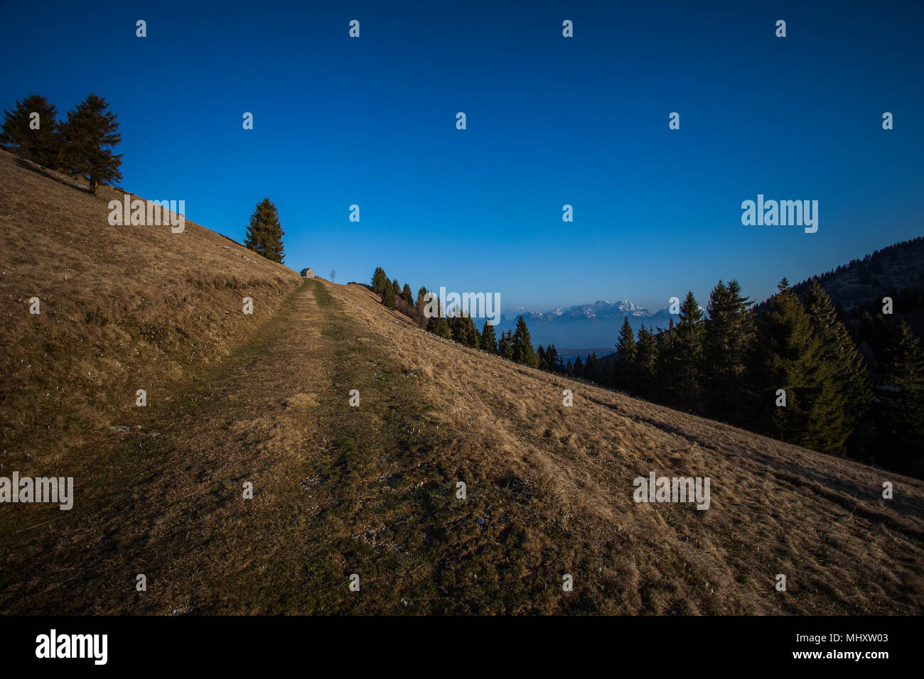 La via verso una piccola capanna con sullo sfondo le cime delle Dolomiti e la Vallata Bellunese, Pian de le Femene, Veneto, Italia Foto Stock