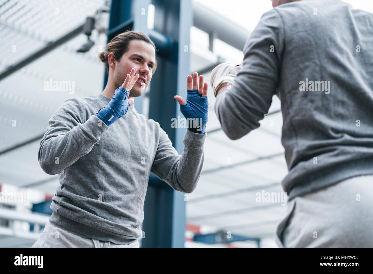 Identica maschio adulto twin boxer formazione all'aperto, la pratica di punzoni Foto Stock