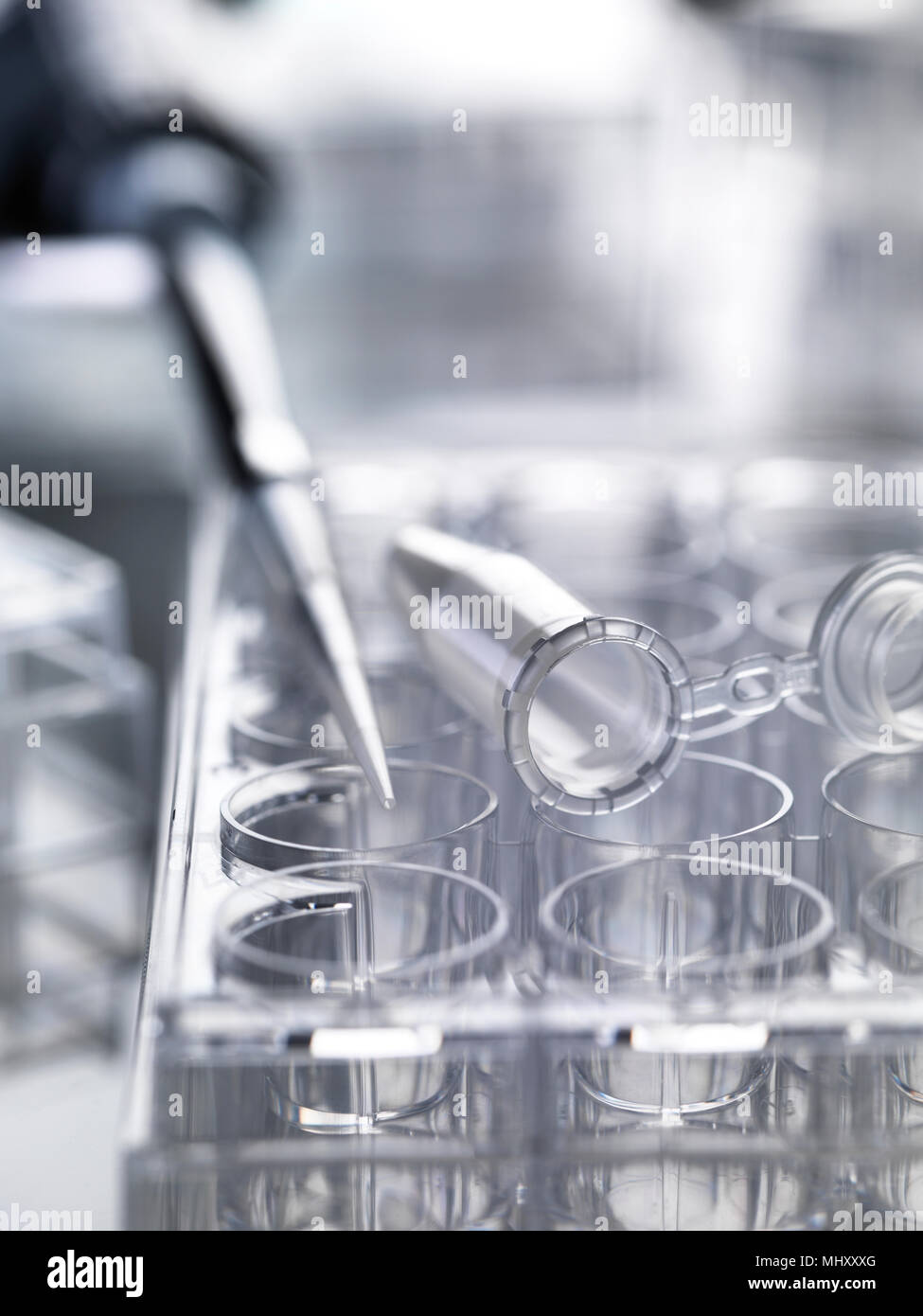 Pipetta utilizzata per erogare campioni seduti sul multi pozzetto piastre usate in esperimenti di laboratorio Foto Stock