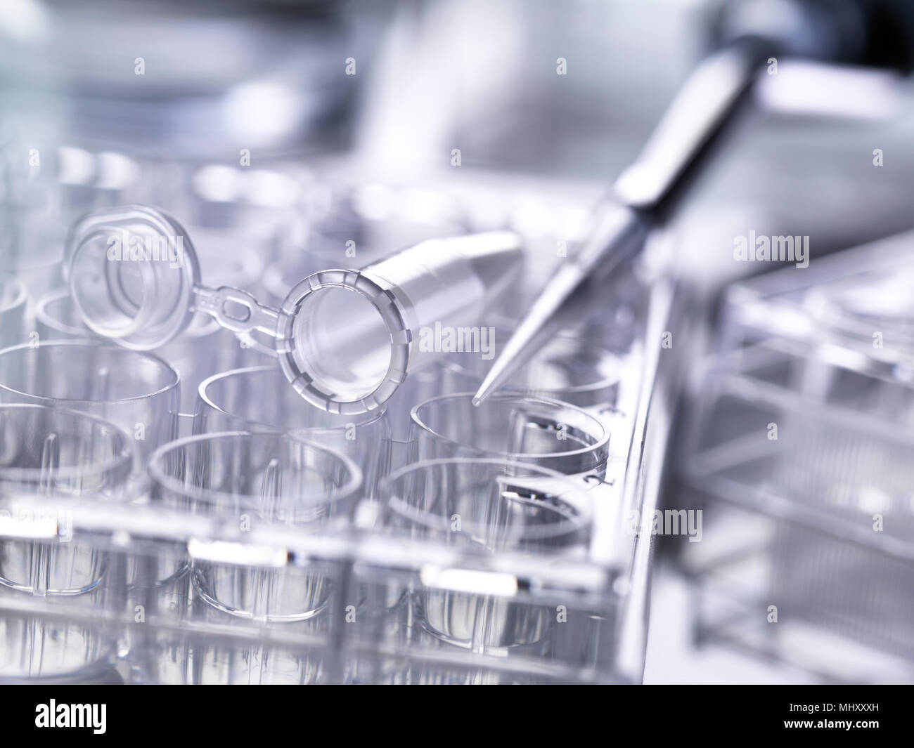Pipetta utilizzata per erogare campioni seduti sul multi pozzetto piastre usate in esperimenti di laboratorio Foto Stock
