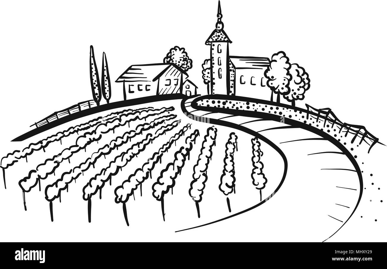 Disegno del vigneto con uve, il percorso e le case sulla collina. Disegnate a mano illustrazione vettoriale. Illustrazione Vettoriale