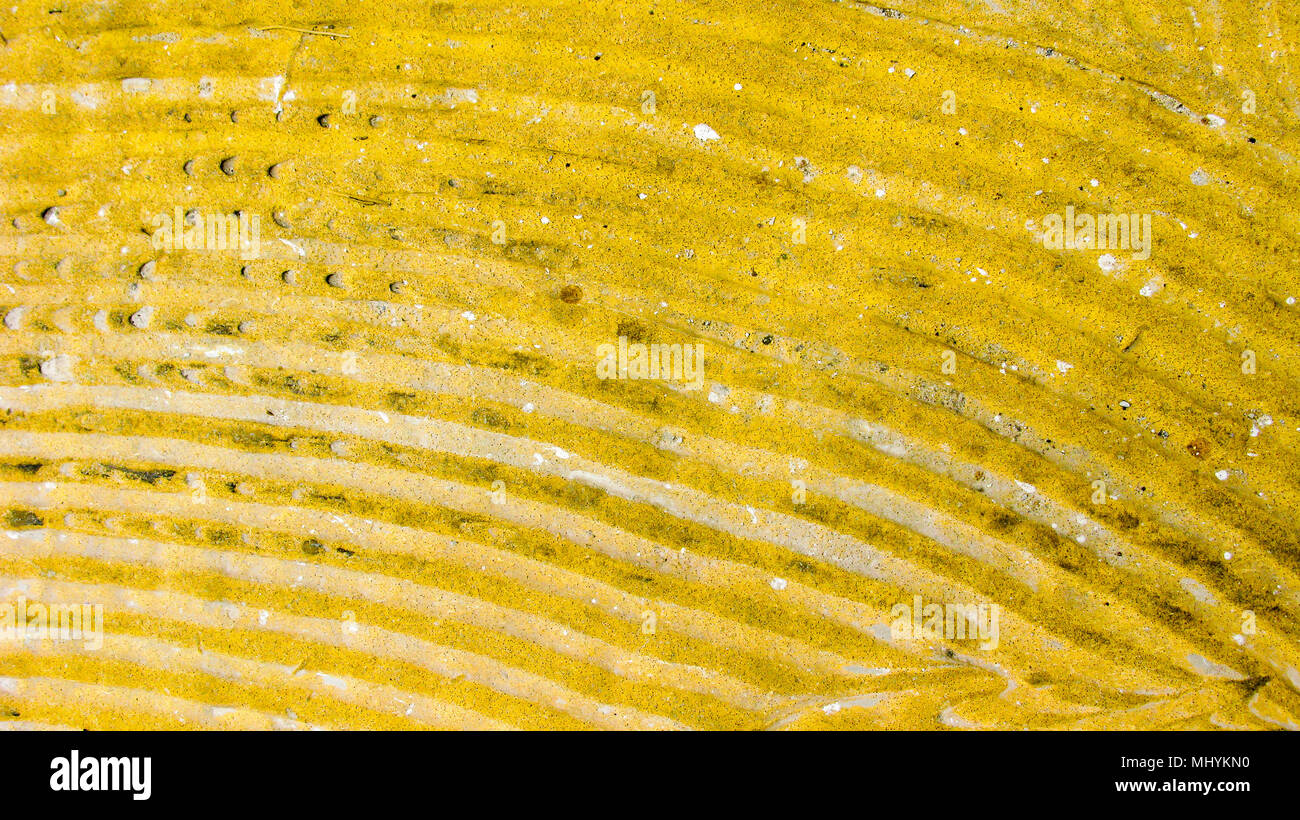 Gli sfondi di colore giallo Foto Stock