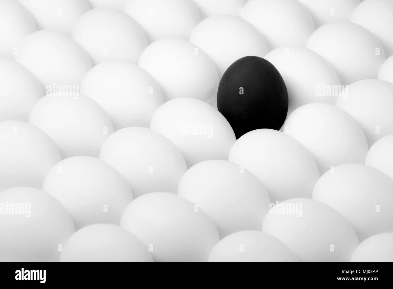 Nero uovo ribelle in piedi fuori dalla folla di uova di colore bianco Foto Stock