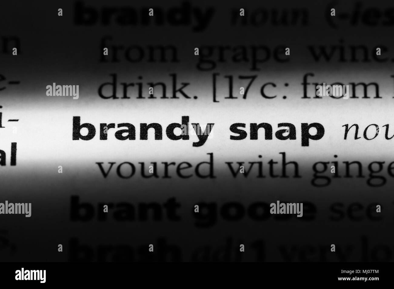 Il brandy snap parola in un dizionario. brandy concetto elastico. Foto Stock