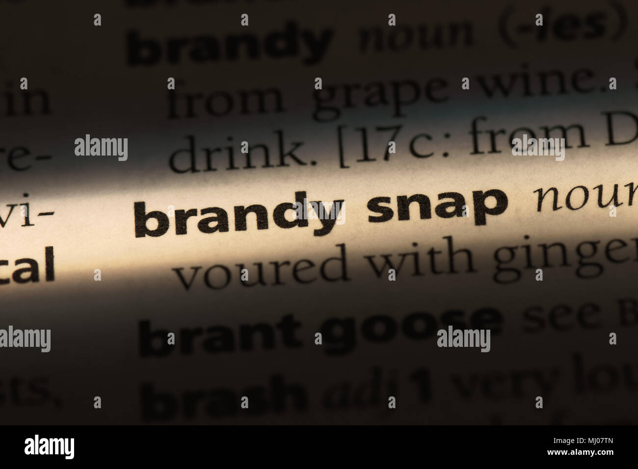 Il brandy snap parola in un dizionario. brandy concetto elastico. Foto Stock