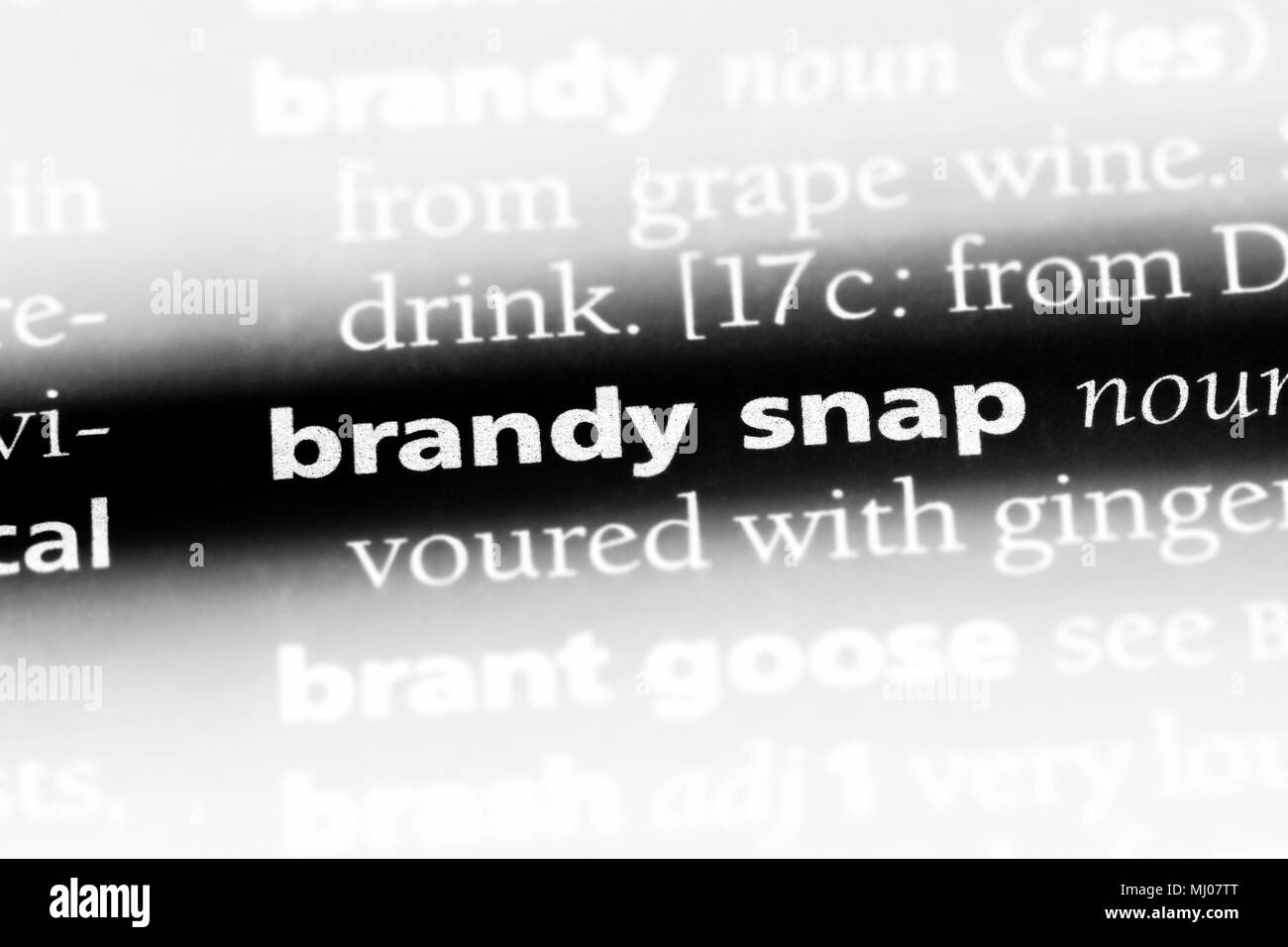 Il brandy snap parola in un dizionario. brandy concetto elastico. Foto Stock