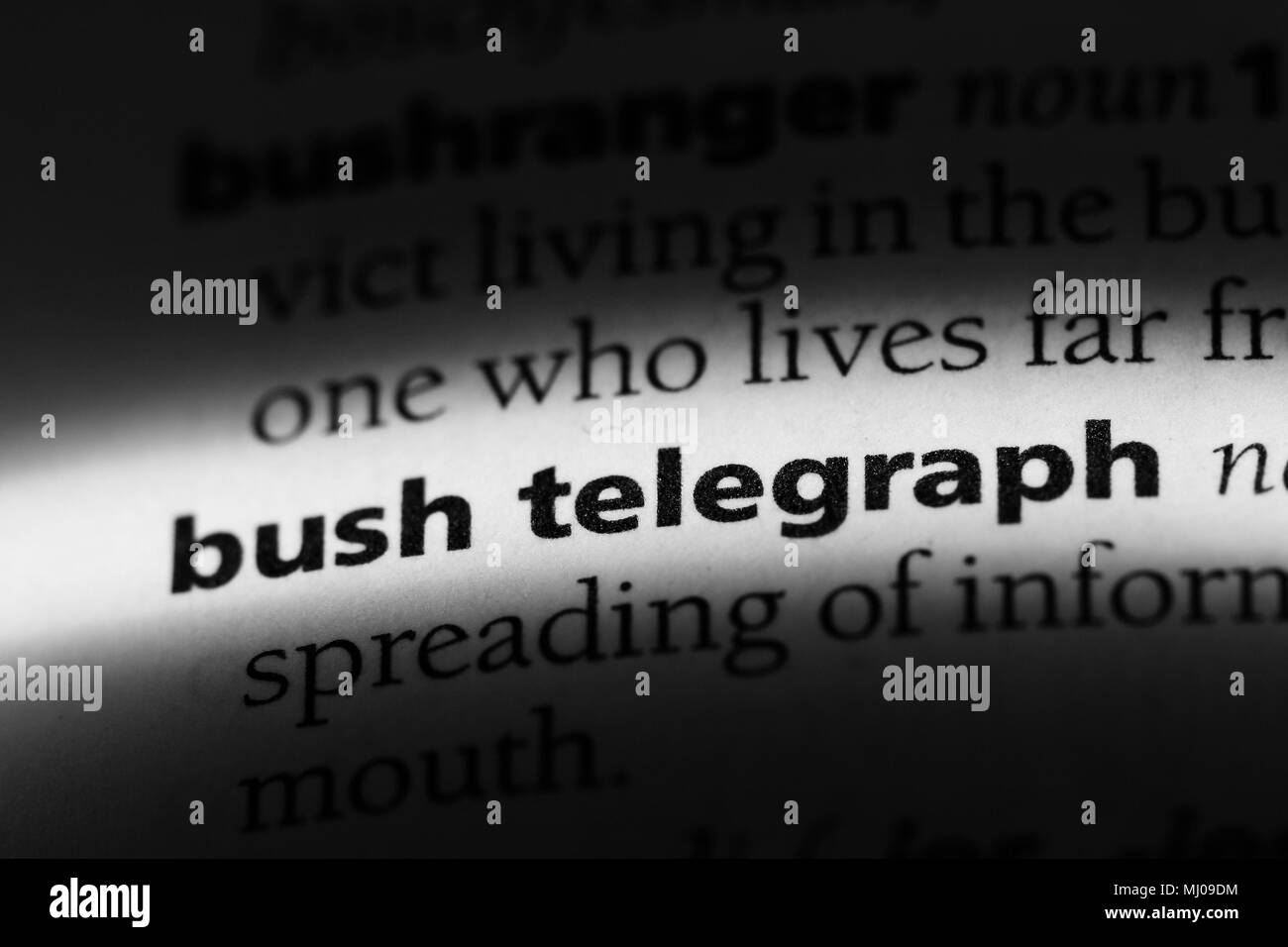 Bush Telegraph parola in un dizionario. Bush Telegraph concetto. Foto Stock