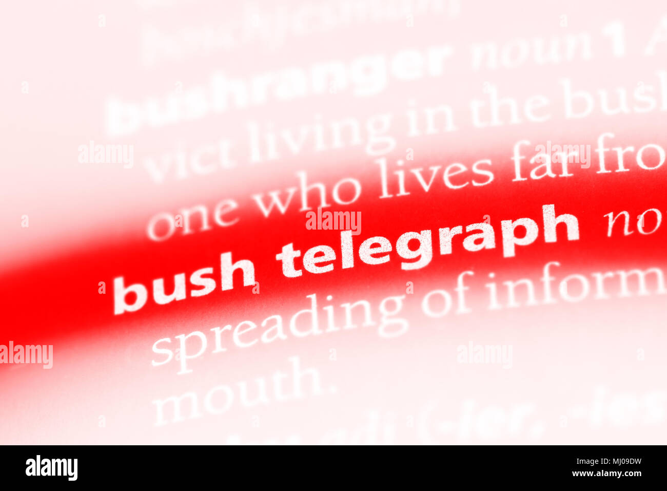 Bush Telegraph parola in un dizionario. Bush Telegraph concetto. Foto Stock