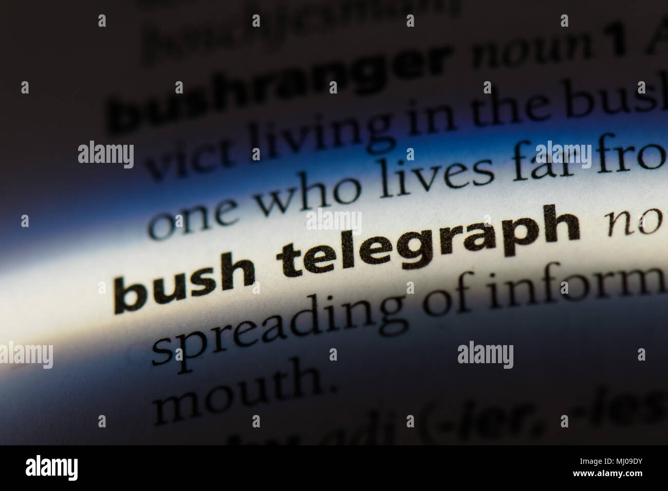 Bush Telegraph parola in un dizionario. Bush Telegraph concetto. Foto Stock