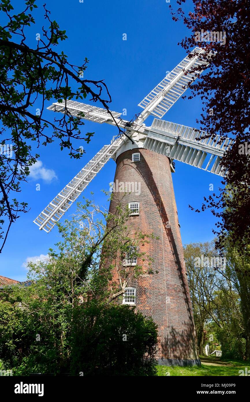 Buttrum's Mill noto anche come Trott's Mill di Woodbridge, Suffolk, Regno Unito. Costruito 1863. Restaurata e ora il grado 2 elencati. Pepe piatto stile. Foto Stock