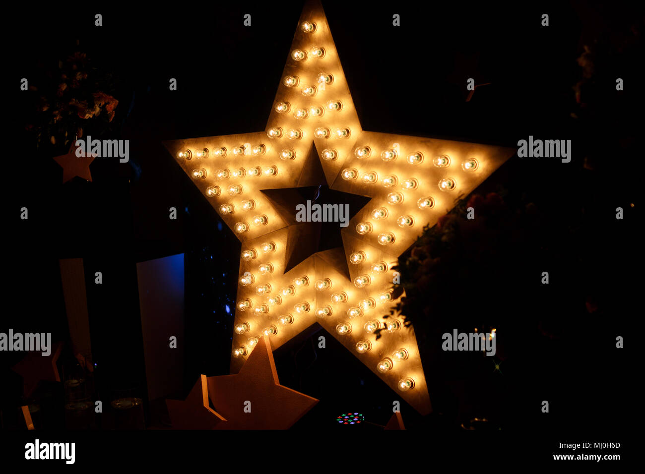 Stella della lampadina con lampade su uno sfondo Foto Stock