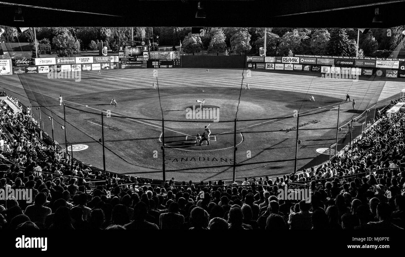 Ampio angolo di foto del Nat Bailey Stadium durante un gioco quando il lanciatore buttare la palla. Foto Stock