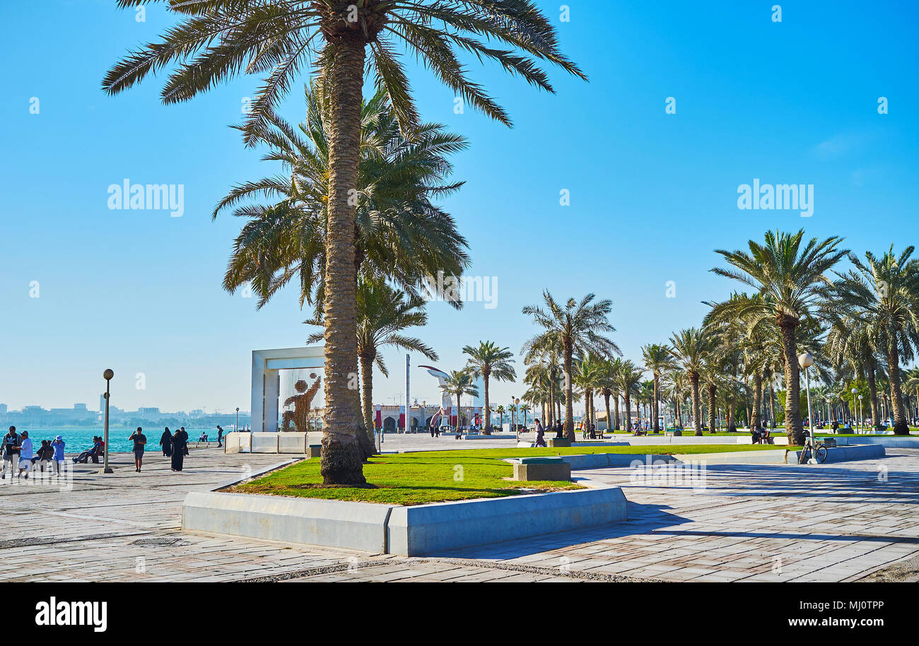 DOHA, Qatar - 13 febbraio 2018: le righe di lussureggianti palme nel parco, situato nel lungomare Corniche, allungandosi lungo la West Bay sulla costa Febbraio Foto Stock