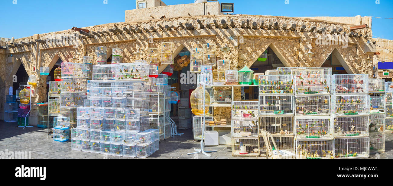 Il panorama del mercato degli uccelli, che è importante dipartimento di autentico Souq Waqif, qui i visitatori possono scoprire una grande varietà di uccelli, popolare nella regione, Doha, Foto Stock