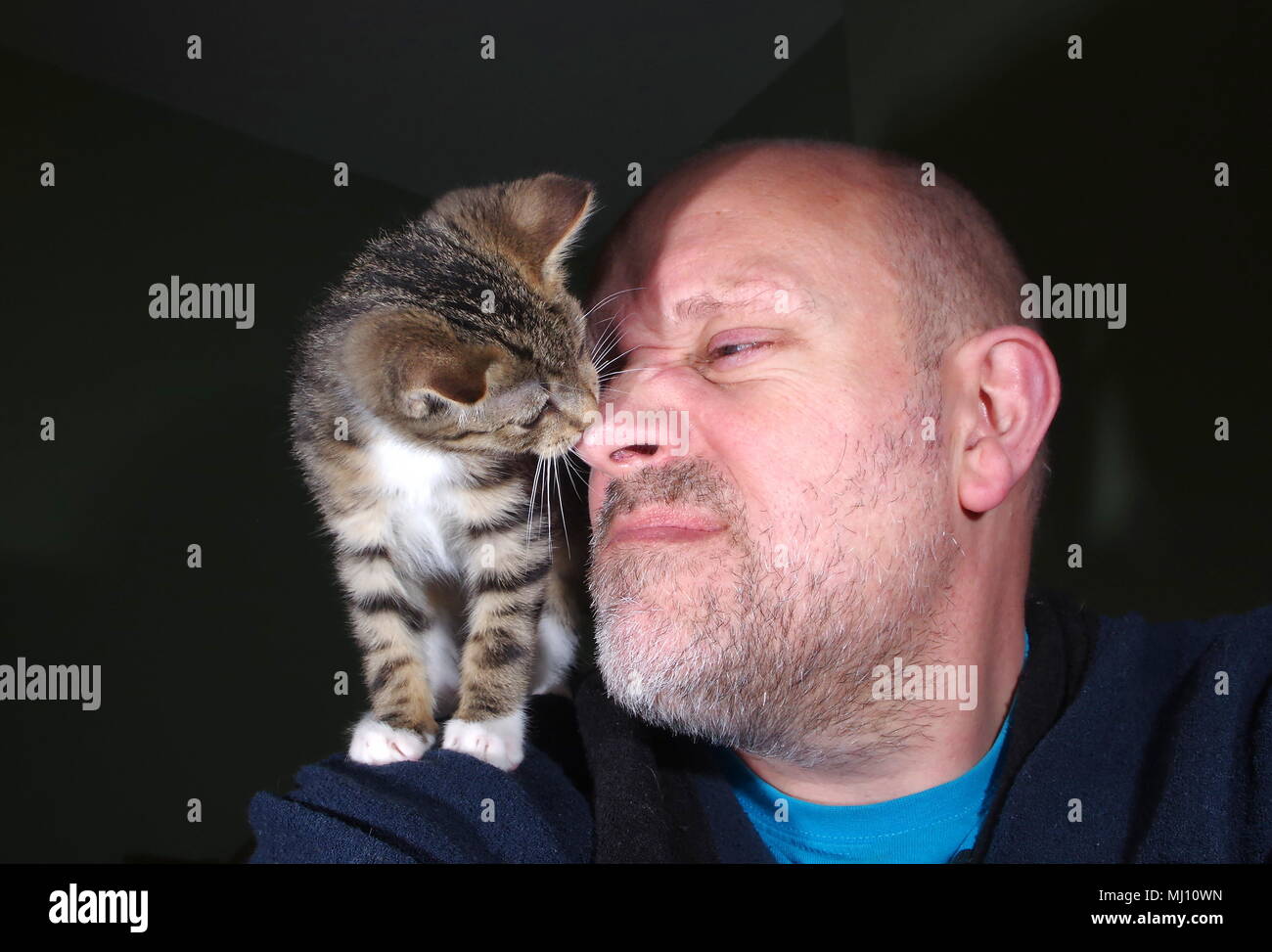 Uomo con tabby kitten Foto Stock