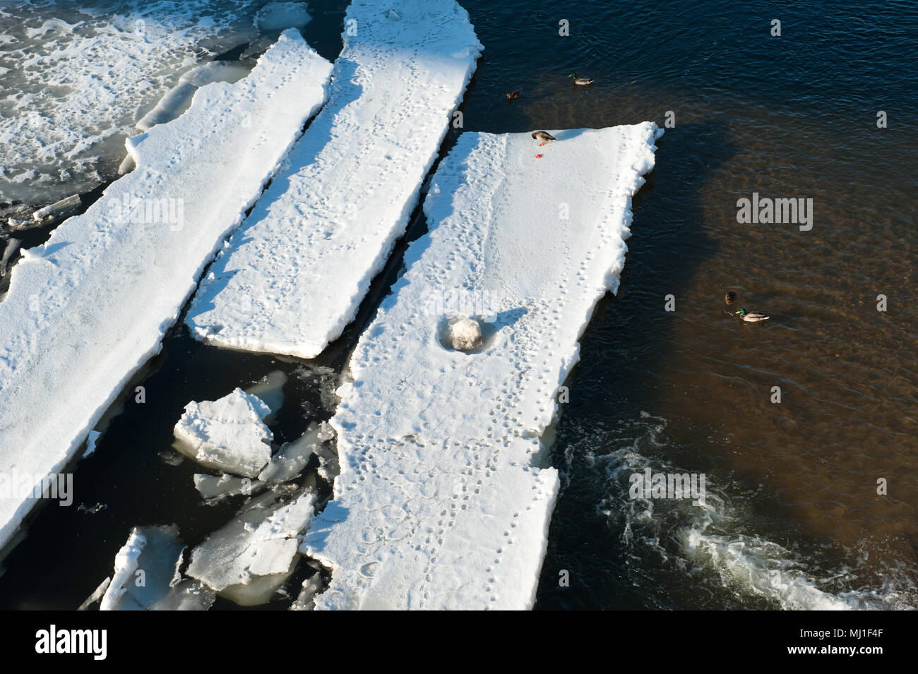 Congelati riverbank su una soleggiata giornata invernale Foto Stock