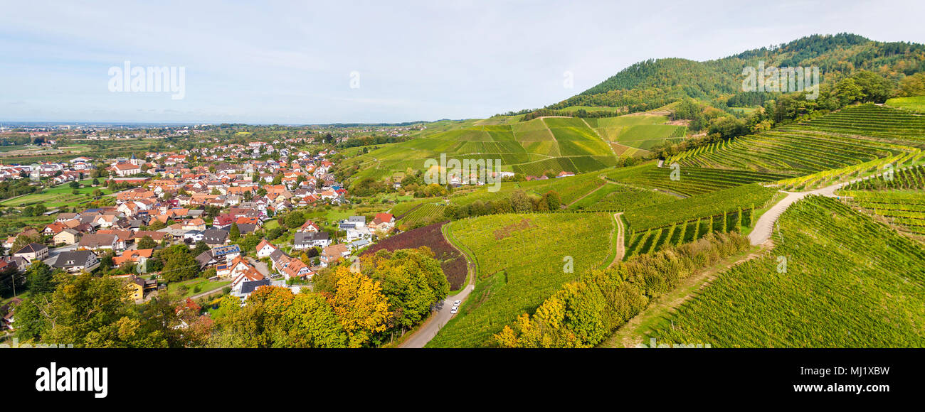 Vista dei vigneti da Ortenberg castello. Germania Foto Stock