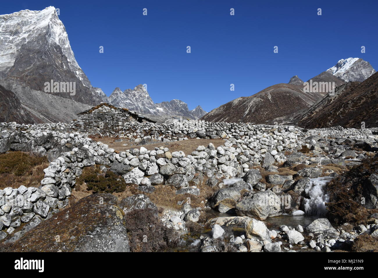 Vecchia fattoria di yak nella valle Pheriche, Nepal Foto Stock